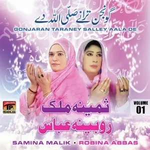 Gonjaran Taraney Salley Aala De, Vol. 1 image