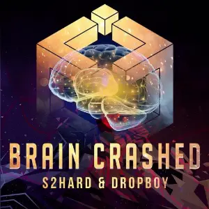 Brain Crashed image