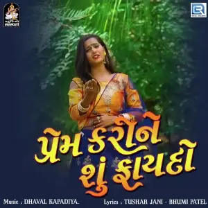 Prem Kari Ne Su Faydo image