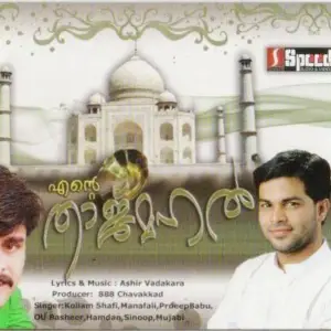 Ende Tajmahal image