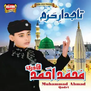 Tajdar E Haram image