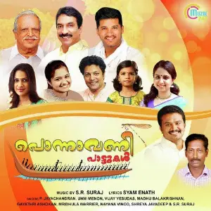 Ponnavani Pattukal image