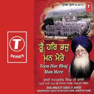 Toon Har Bhaj Man Mere image