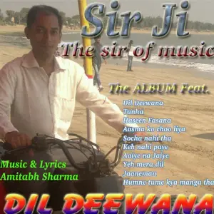 Dil Deewana - The Album image