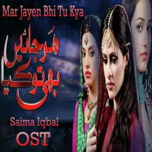 Mar Jayen Bhi Tu Kya (From Mar Jayen Bhi Tu Kya) image