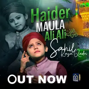 Haider Maula Ali Ali image