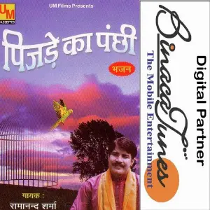 Pinjre Ke Panchi image