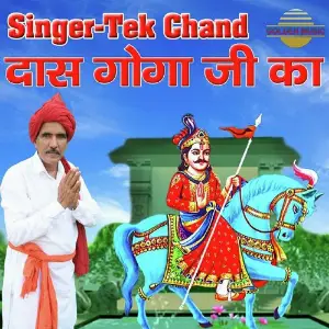 Das Goga Ji Ka image