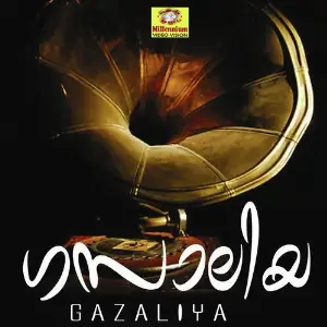 Gazaliya image