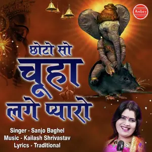 Choto So Chuha Lage Payro image