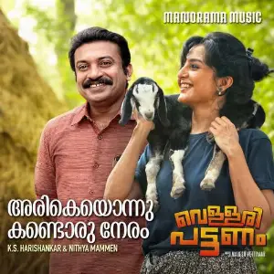 Vellaripattanam image