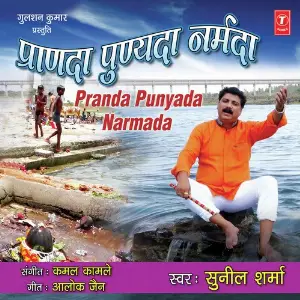 Pranda Punyada Narmada image