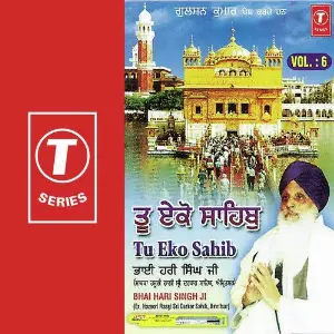 Tu Eko Sahib (Vol. 6) image