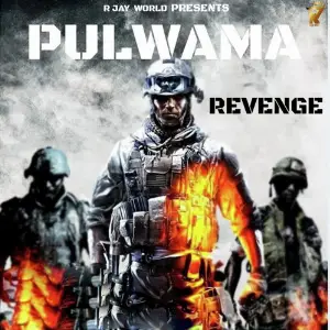 Pulwama Revenge image