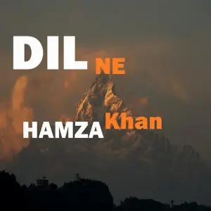 Dil Ne image