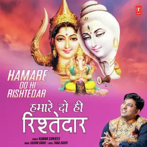 Hamare Do Hi Rishtedar image