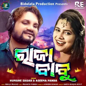 Raja Babu image