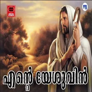 Ente Yeshuvin image