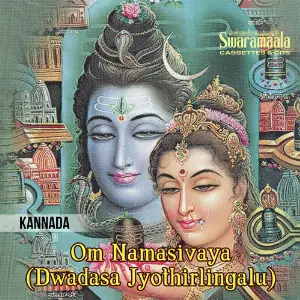 Om Namasivaya (Dwadasa Jyothirlingalu) image