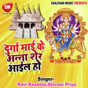 Durga Maiya Ke Anna Sher Aiyel Ho image
