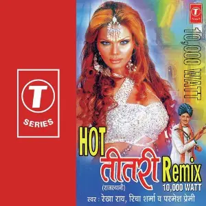 Hot Teetri Remix image