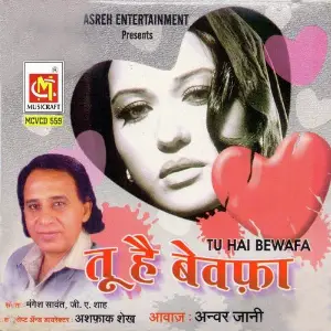 Tu Hai Bewafa image