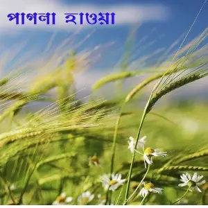 Pagla Hawa image
