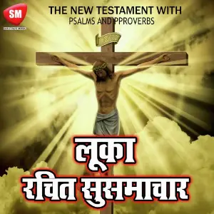 Hindi Bible Book -Luka Rachit Susamacha image