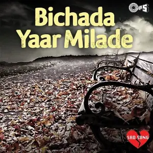 Bichada Yaar Milade (Sad Song) image