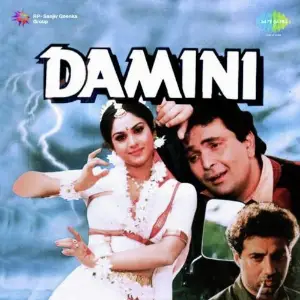 Damini image