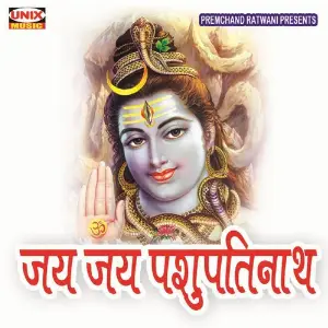 Jay Jay Pashupatinath image