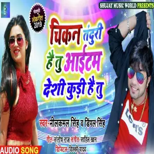Chikan Tanduri Hai Tu Item Desi Kudi Hai Tu image