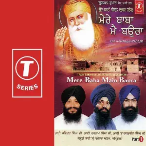 Mere Baba Main Baura (Part 1) image