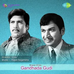 Gandhada Gudi image