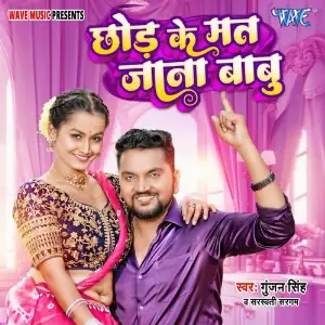 Chhod Ke Mat Jana Babu image