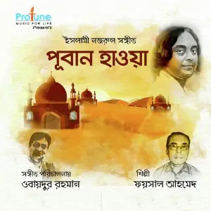 Puban Hawya image