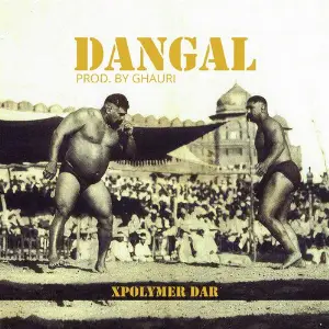 Dangal image