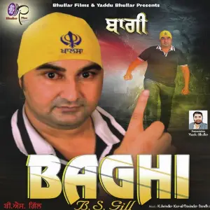 Baghi image