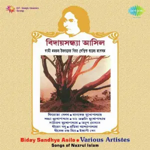 Biday Sandhya Asilo image