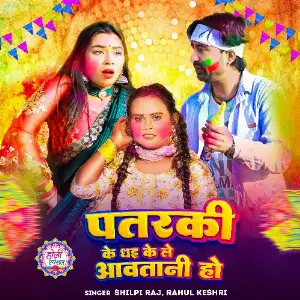 Patarki Ke Dhai Ke Le Awa Tani Ho image