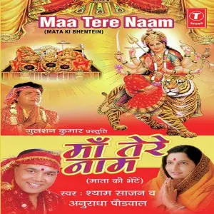 Maa Tere Naam image