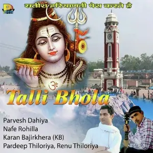 Talli Bhola image