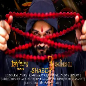 Shabd 3 image