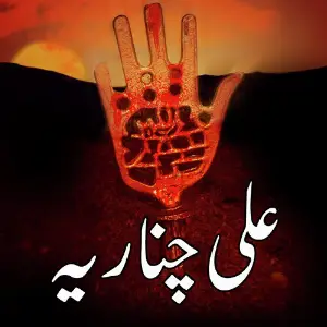 Ali Charania image