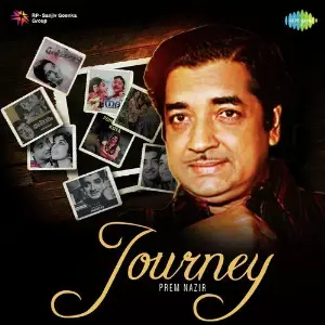 Journey - Prem Nazir image