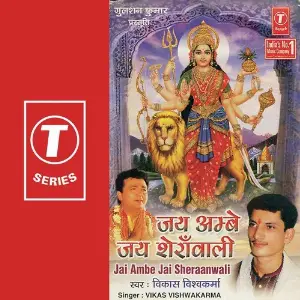 Jai Ambe Jai Sheranwali image