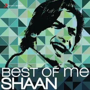 Best of Me Shaan image