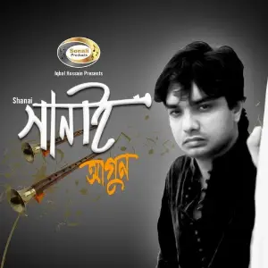 Shanai image
