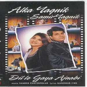 Dil Le Gaya Ajnabi image