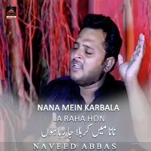 Nana Mein Karbala Ja Raha Hon image